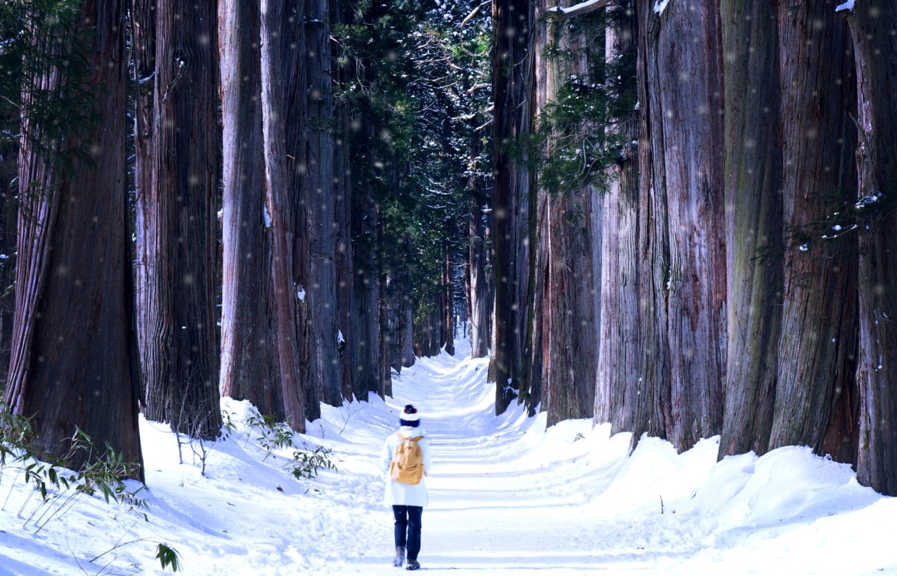 冬の戸隠神社