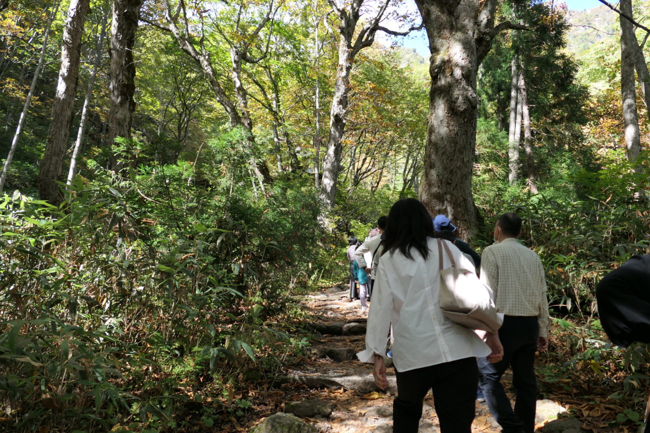 戸隠神社奥社の混雑の様子