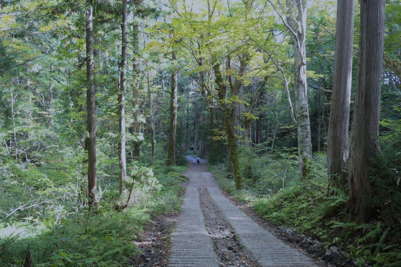 戸隠神社奥社参道