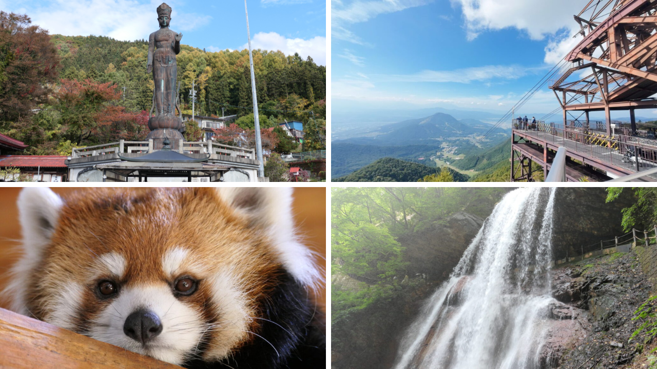 北信エリアおすすめ観光地ランキングサムネイル画像