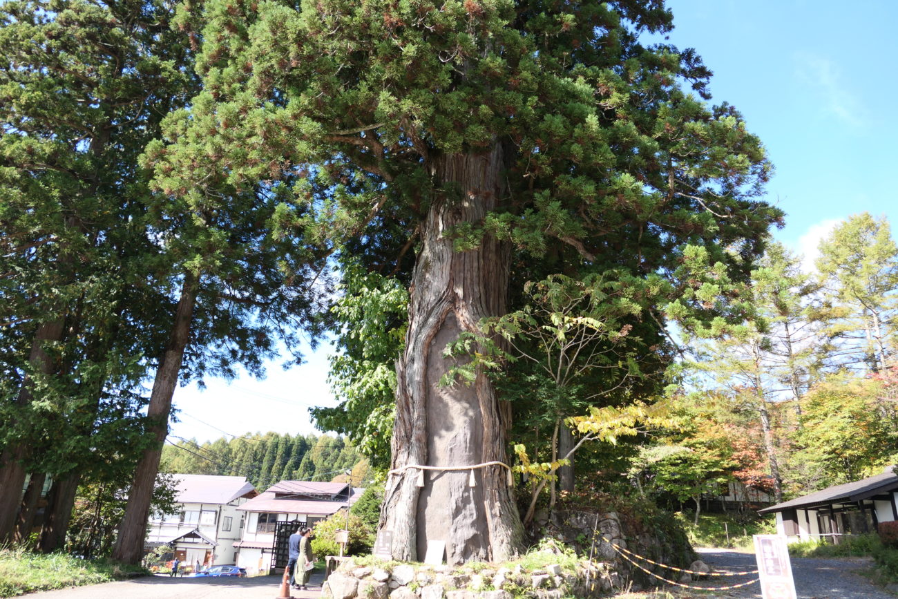 戸隠神社　中社