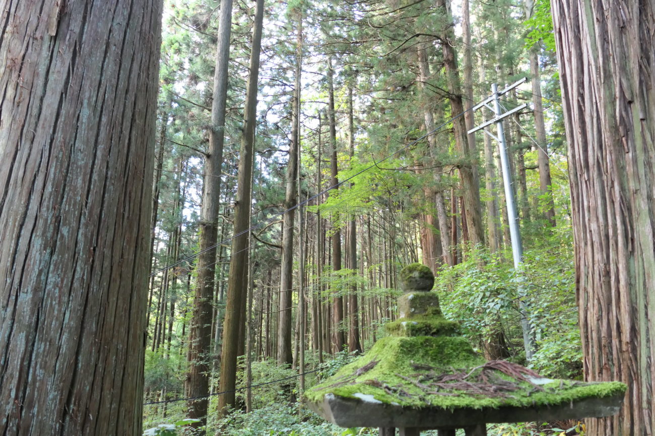 戸隠神社　宝光社