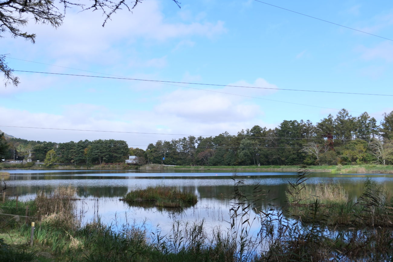 大座法師池・長野フォレストヴィレッジの湖畔