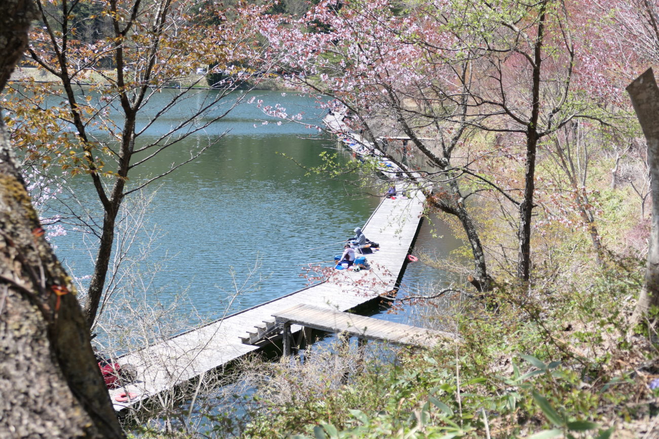 聖高原 ヘラブナ釣り