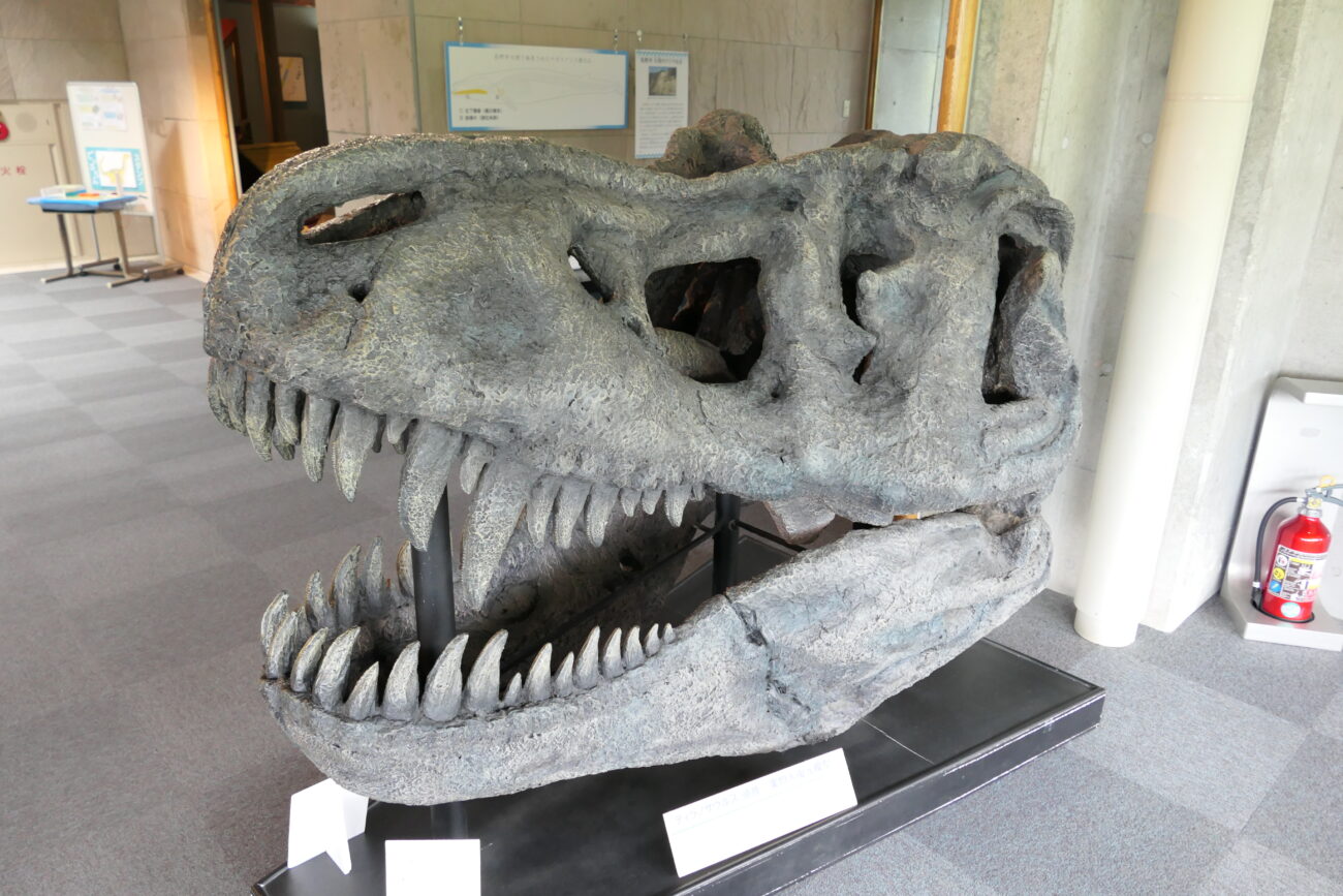 信州新町化石博物館にあるティラノサウルスオブジェ