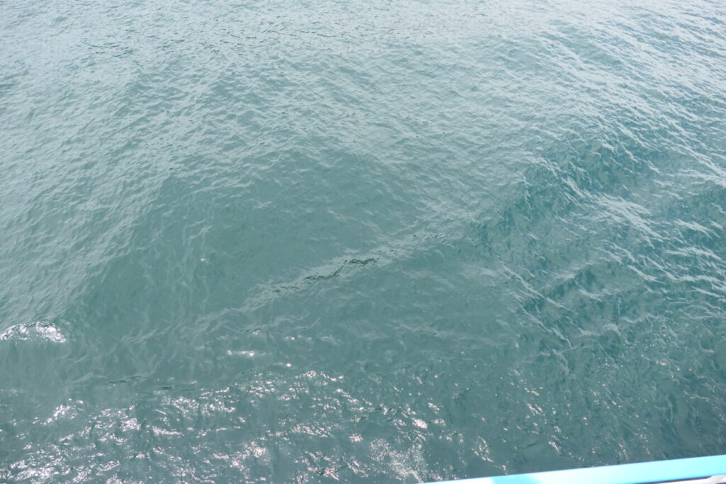 長野県信濃町 野尻湖 水面