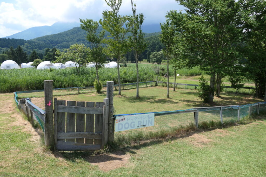 長野県飯綱町 霊仙寺湖 ドッグラン