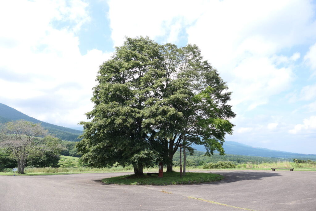 長野県信濃町 黒姫童話館