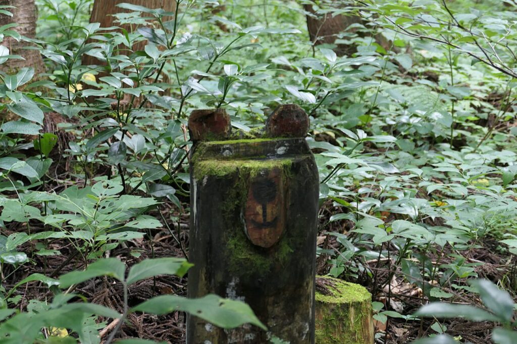 長野県信濃町 黒姫高原 御鹿池 熊