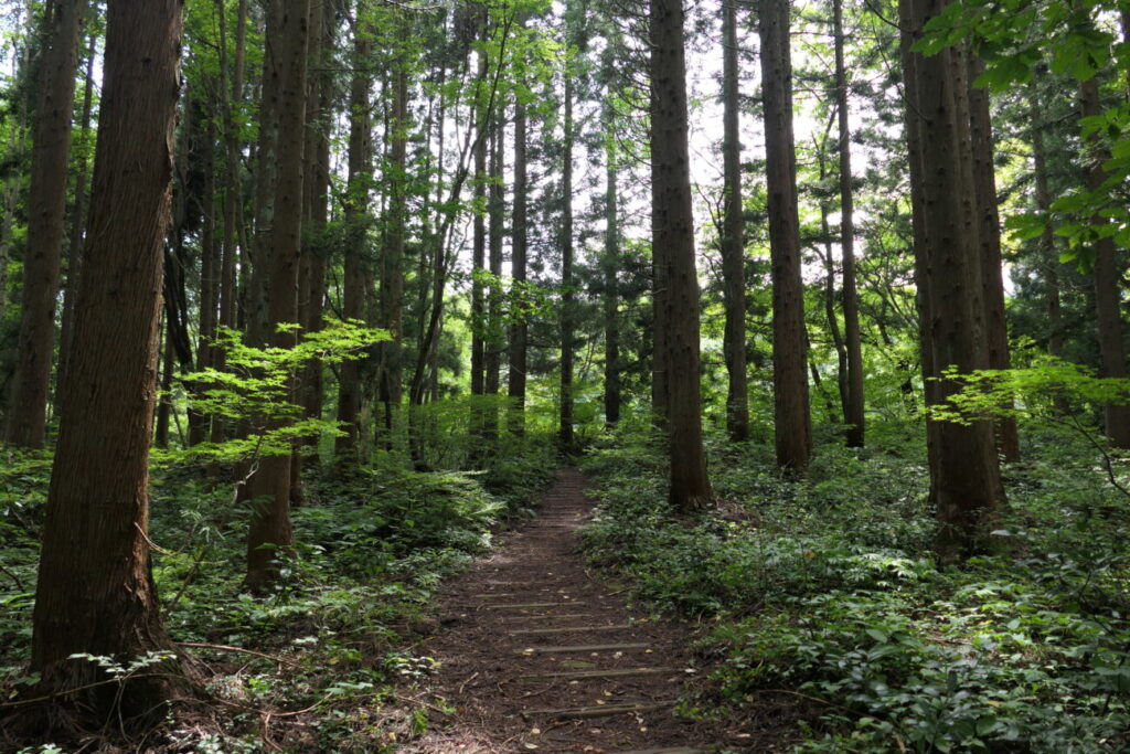 長野県信濃町 黒姫高原 御鹿池