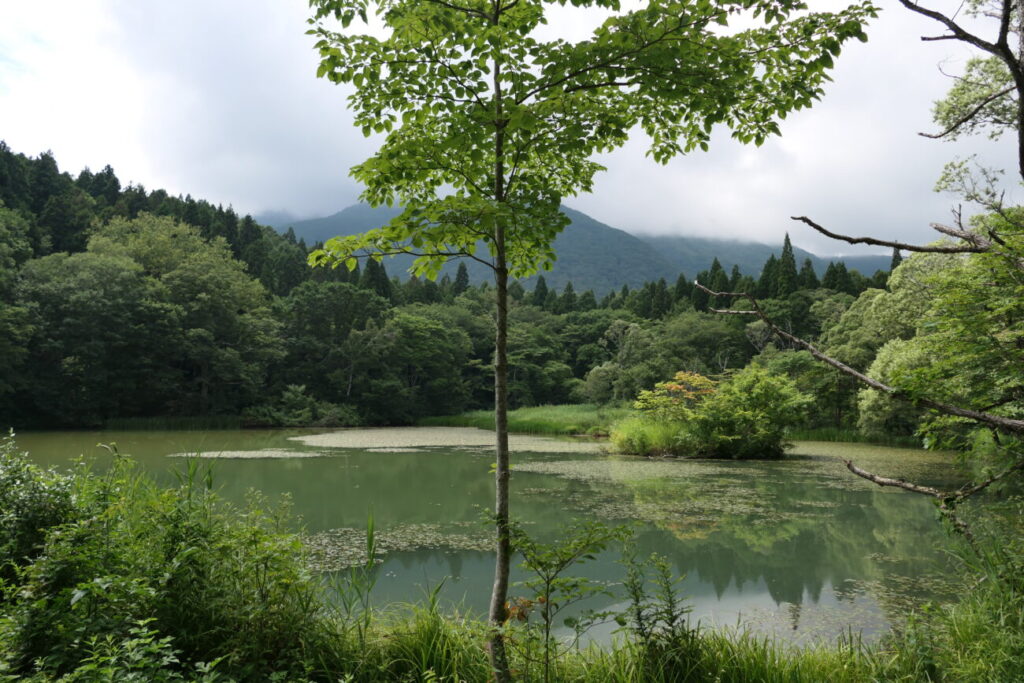 信濃町　御鹿池