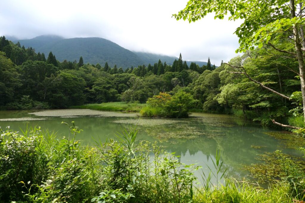 長野県信濃町 御鹿池