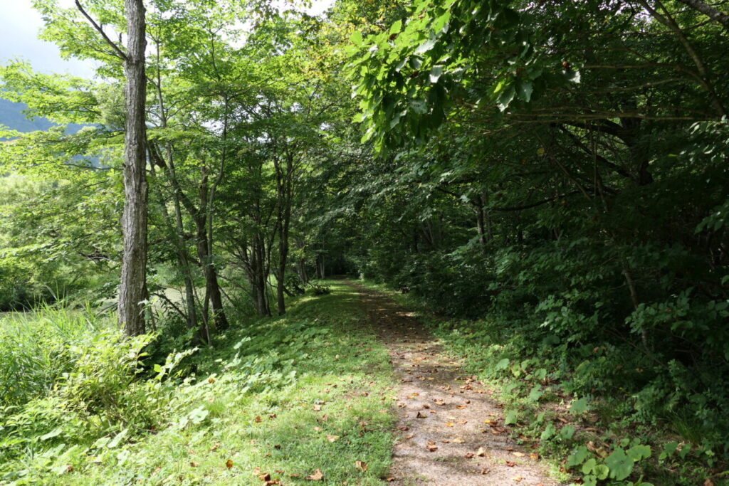 長野県信濃町 黒姫高原 御鹿池