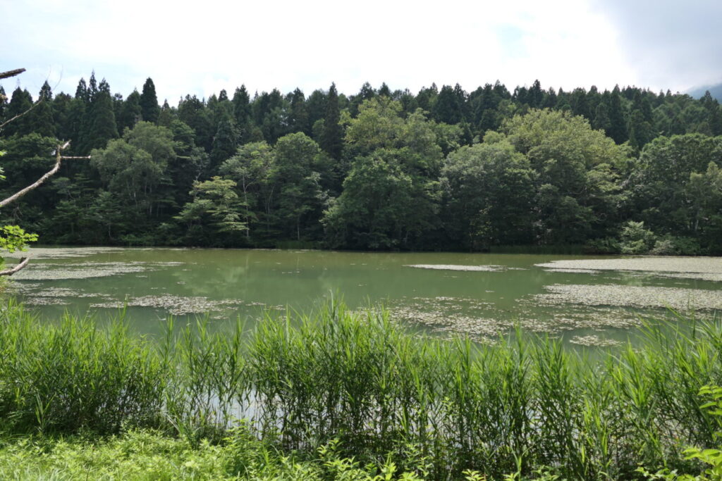 長野県信濃町 黒姫高原 御鹿池