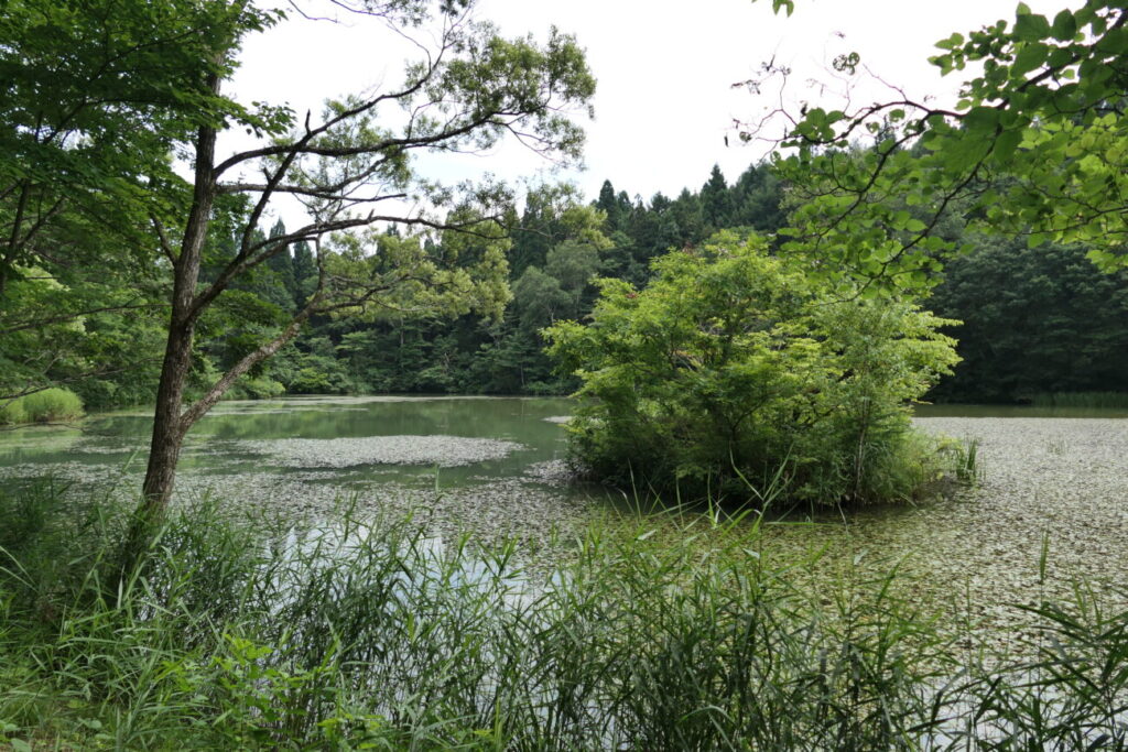 長野県信濃町 黒姫高原 御鹿池