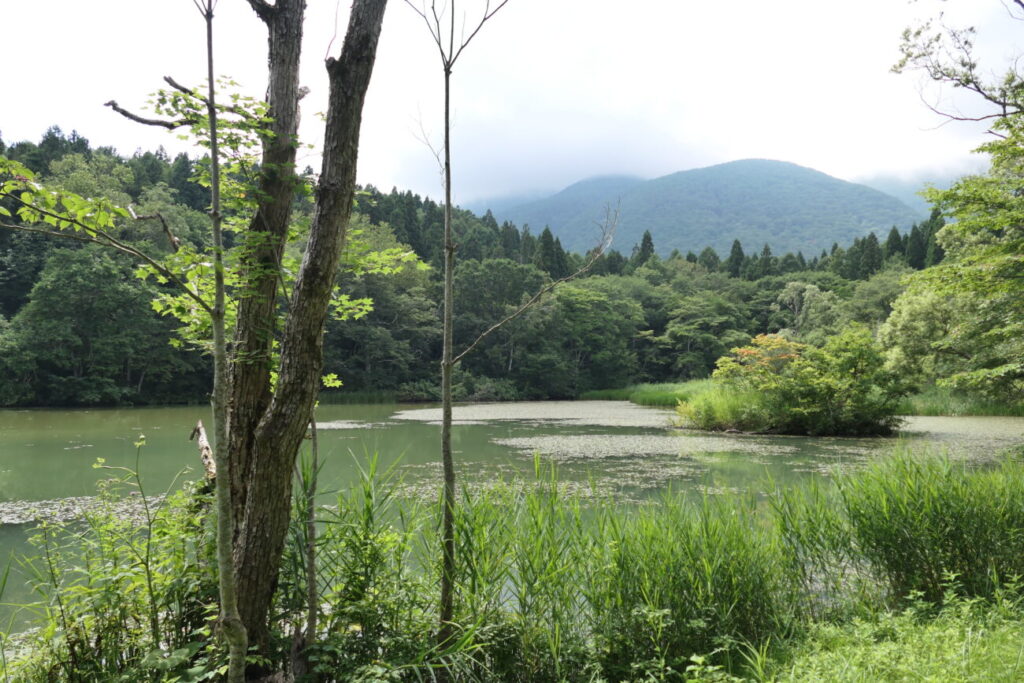 長野県信濃町 黒姫高原 御鹿池