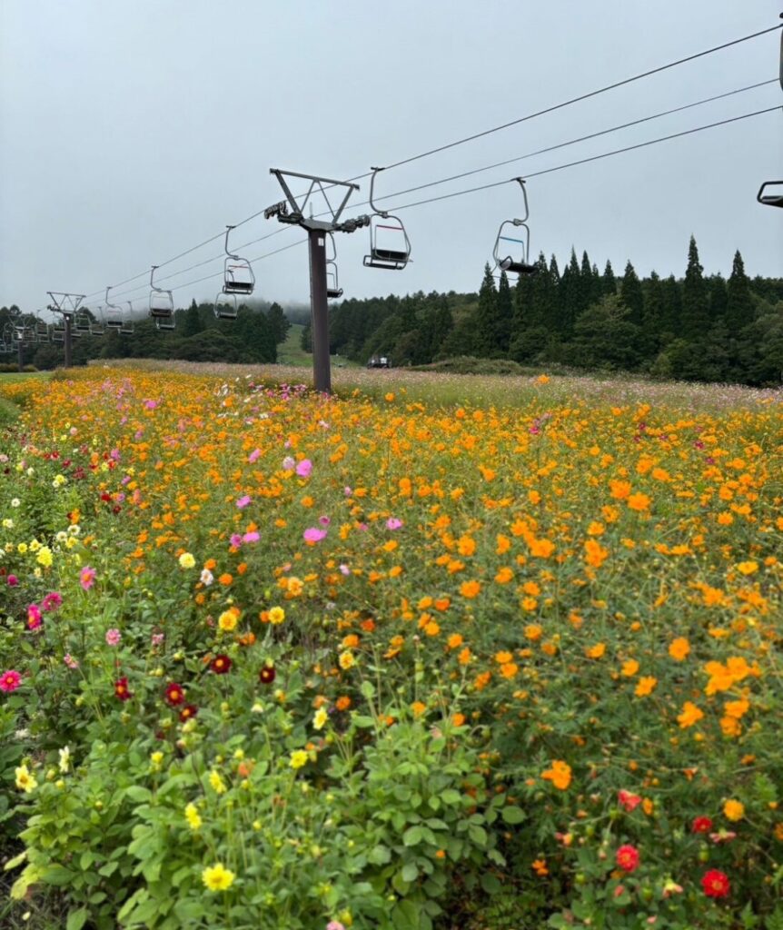 長野県信濃町 黒姫フラワーガーデン
