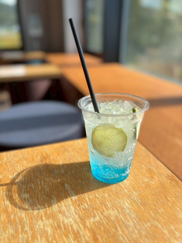 長野県山ノ内町 竜王マウンテンリゾート ソラテラス カフェ