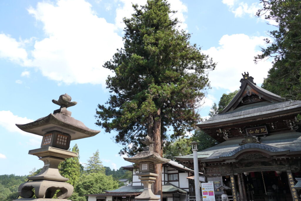 長野県上田市 別所温泉 北向観音 夫婦杉