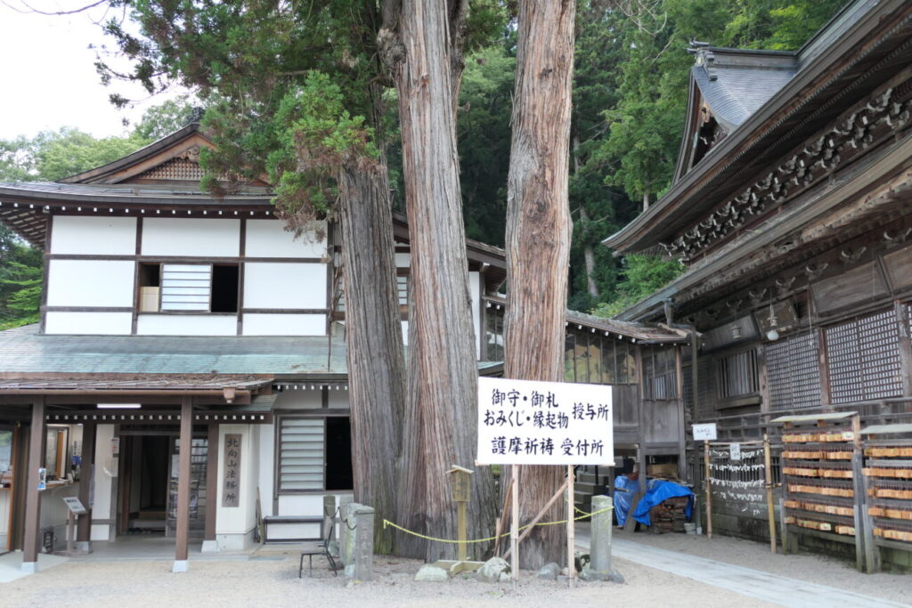 長野県上田市 別所温泉 北向観音 夫婦杉