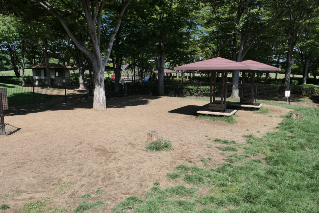 長野市 川中島古戦場ドッグラン 大型犬エリア