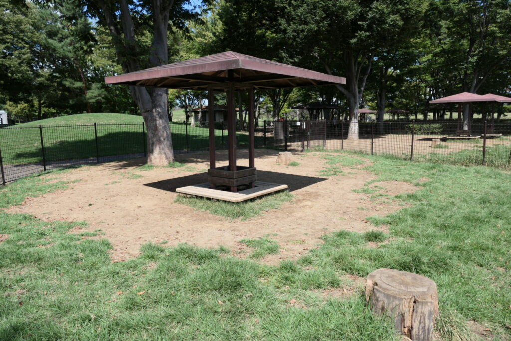 長野市 川中島古戦場ドッグラン 小型犬エリア