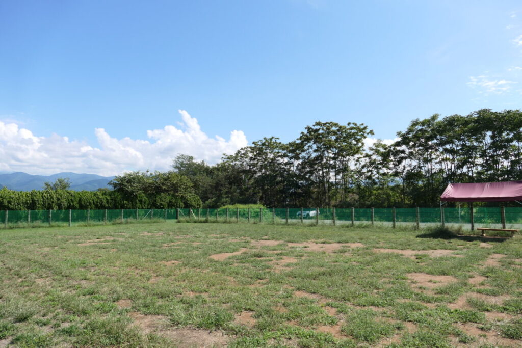 長野市 犀川第2緑地ドッグラン 小型犬エリア