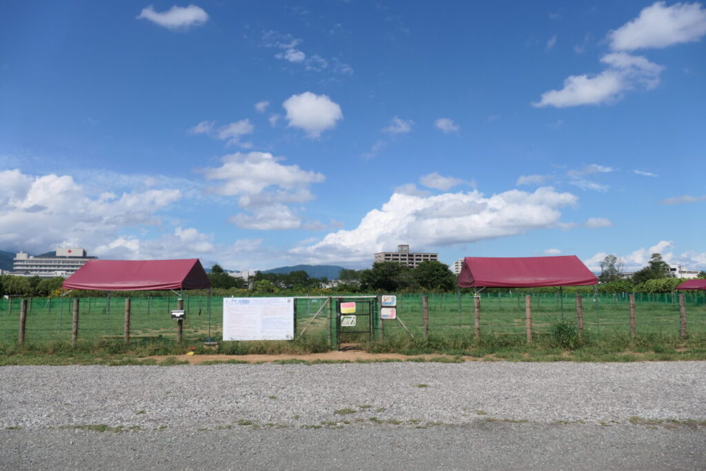 長野市 犀川第2緑地ドッグラン