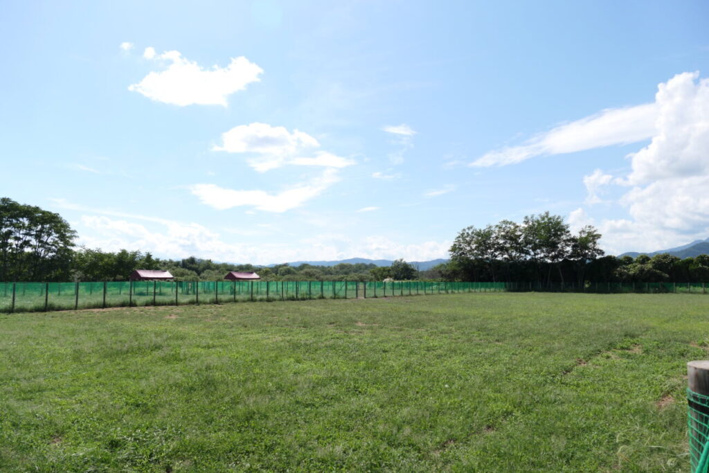 長野市 犀川第2緑地ドッグラン 大型犬エリア