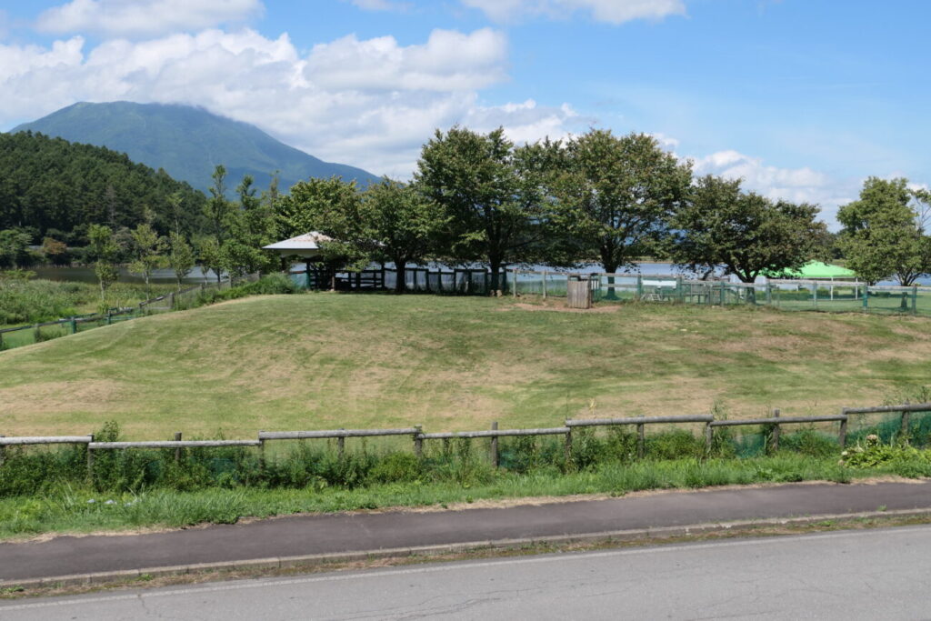 長野県飯綱町 霊仙寺湖ドッグラン 大型犬エリア