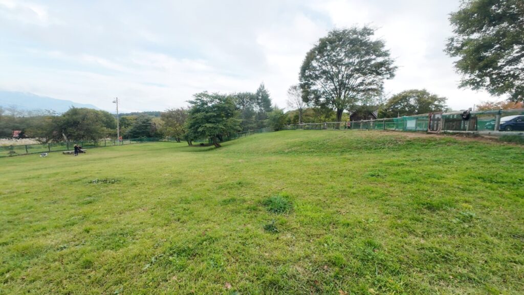 信濃町 黒姫高原ドッグラン 芝生