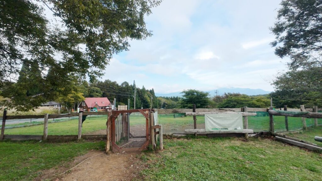 信濃町 黒姫高原ドッグラン