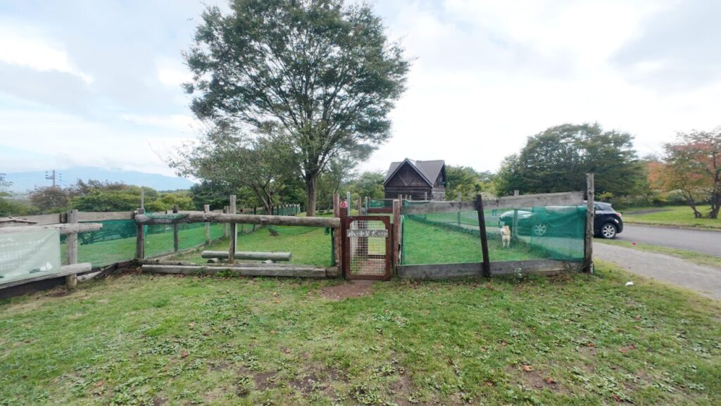 信濃町 黒姫高原ドッグラン 小型犬エリア