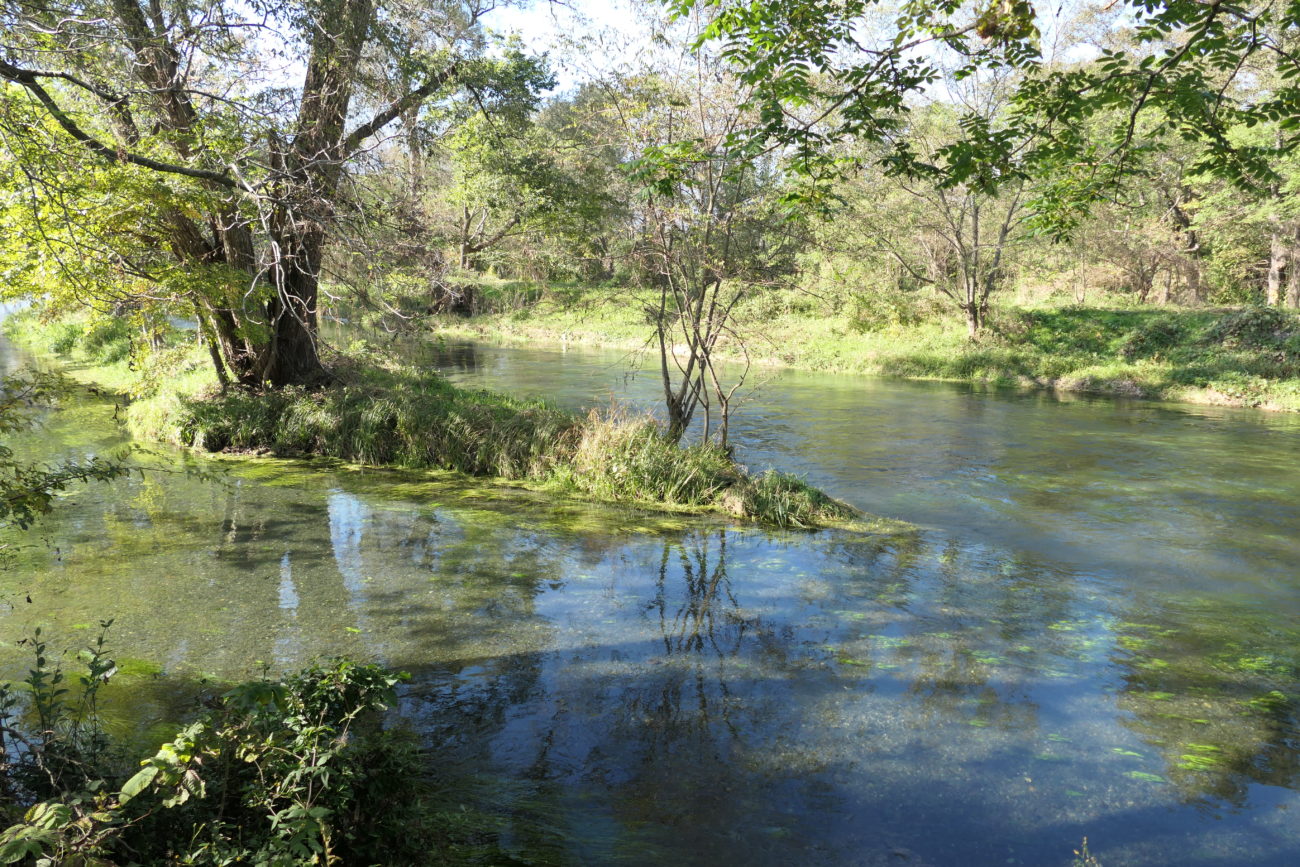 大王わさび農場