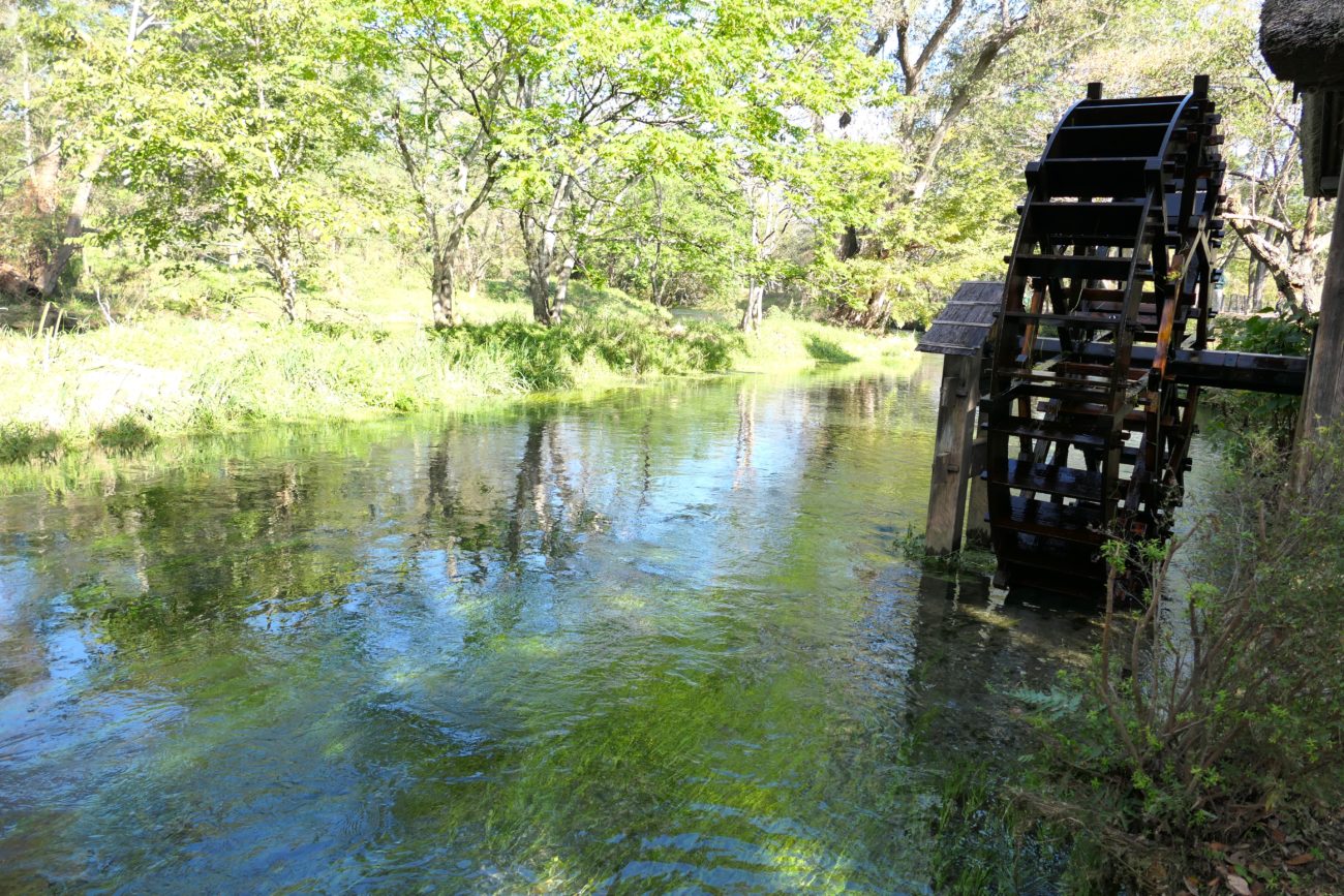 大王わさび農場