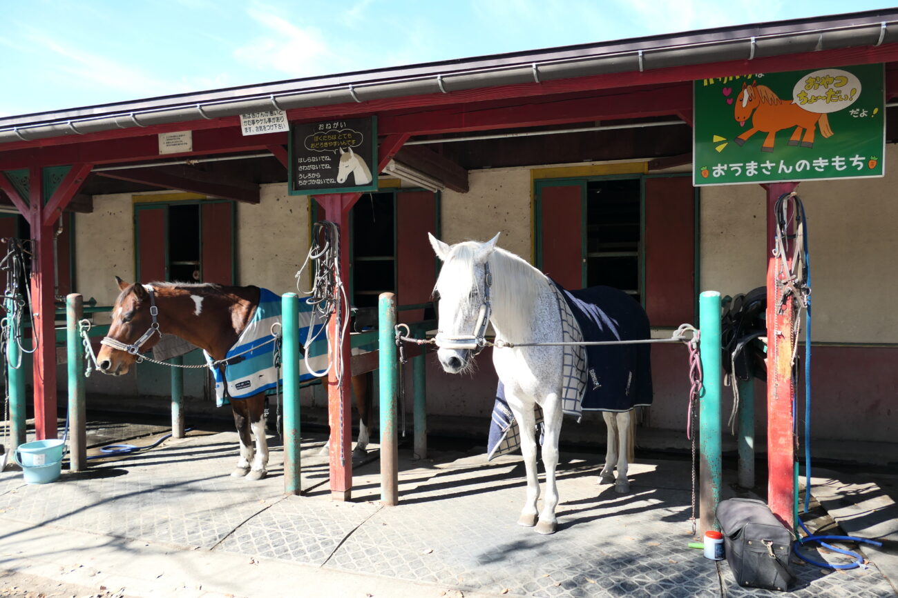 ホースランド安曇野 アイキャッチ