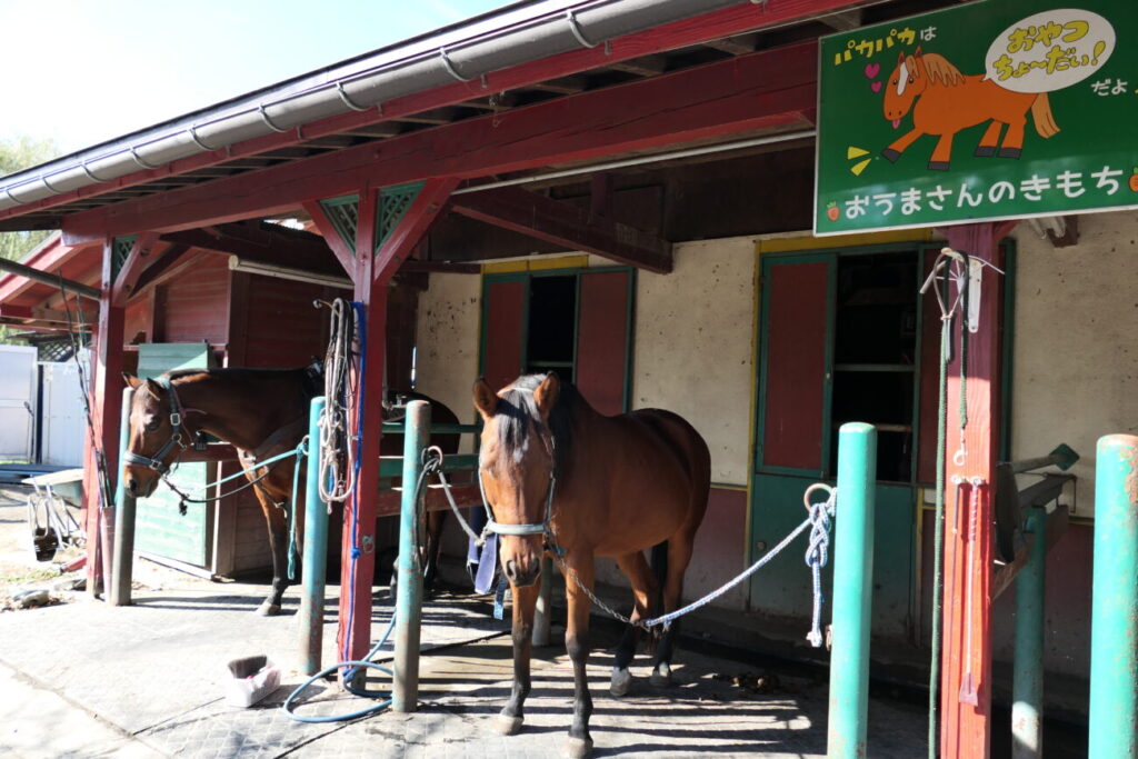 ホースランド安曇野 