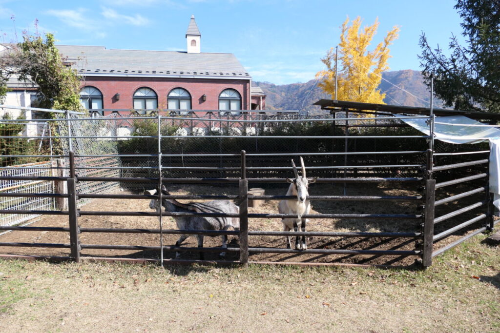 ホースランド安曇野 やぎ