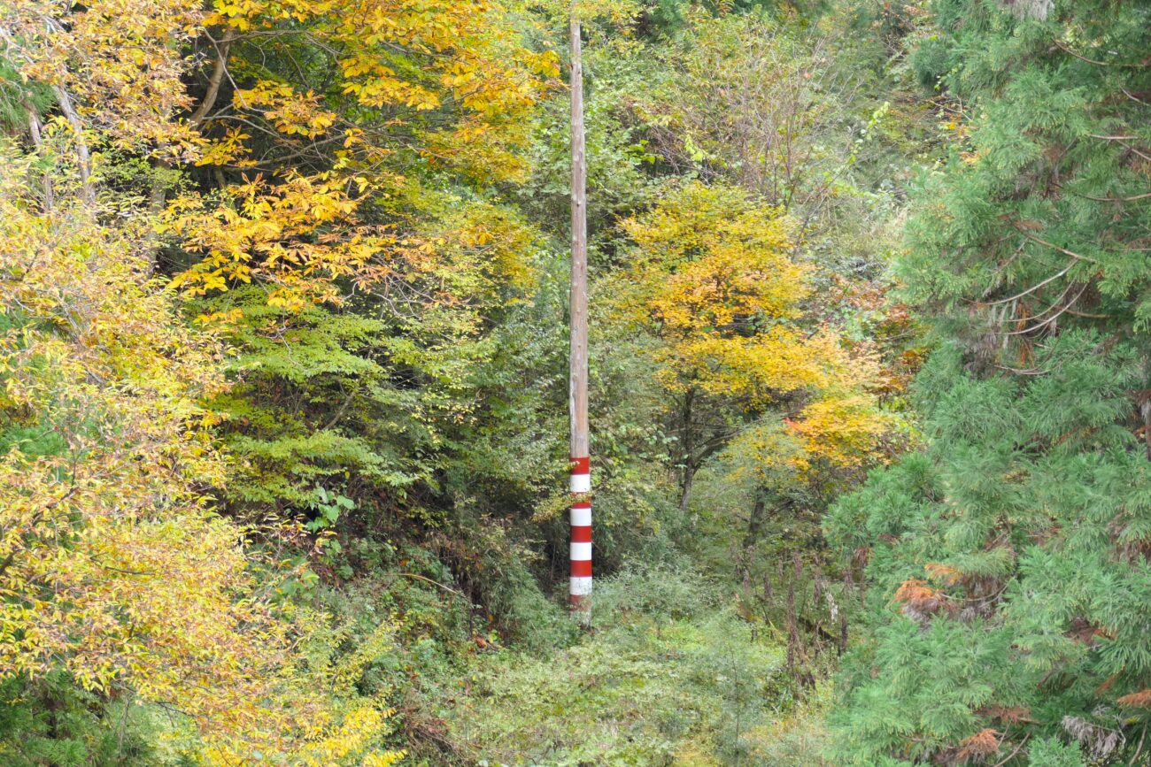 本州のHESO 恩柱