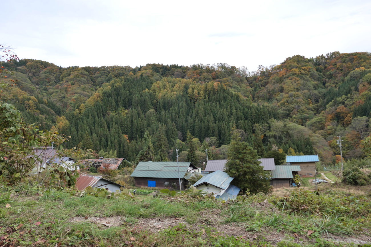小川村 本州のHESO 
