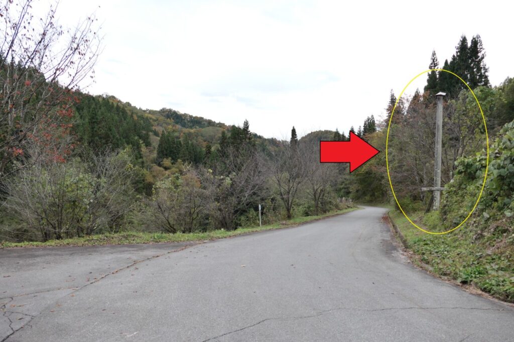 小川村 本州のHESOと間違えやすい、道沿いにある偽物の柱