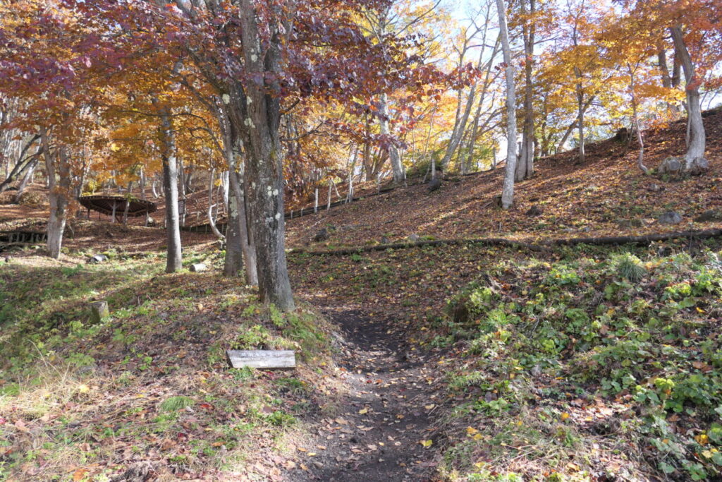 山ノ内町の澗満滝 展望台紅葉シーズン