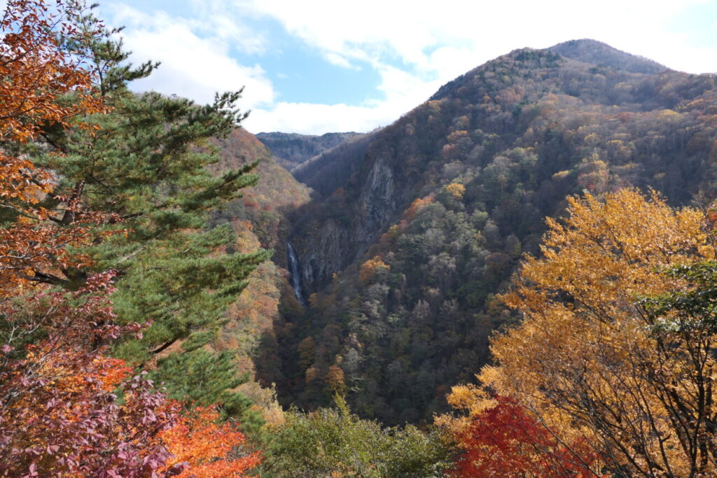 山ノ内町の澗満滝 展望台紅葉シーズン