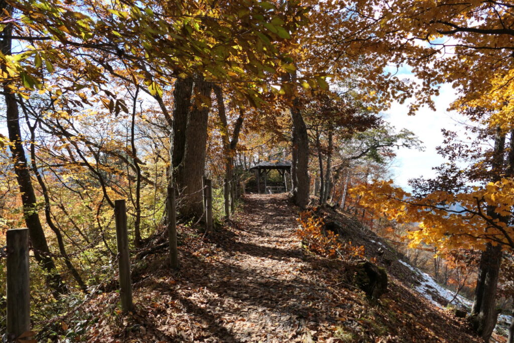 山ノ内町の澗満滝 展望台紅葉シーズン