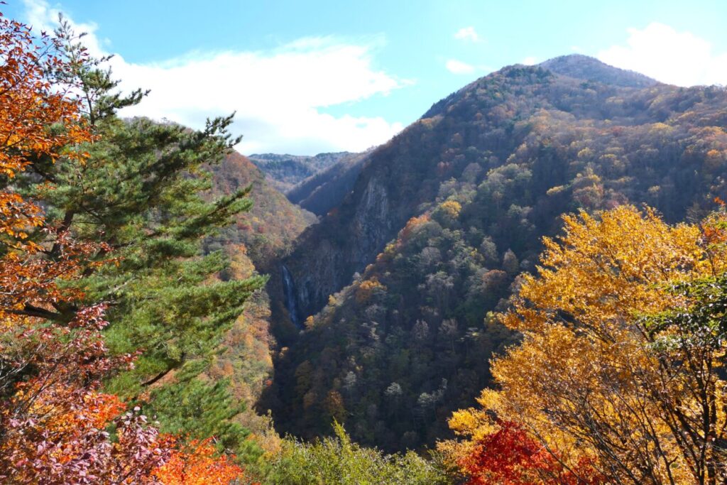 山ノ内町の澗満滝 展望台紅葉シーズン