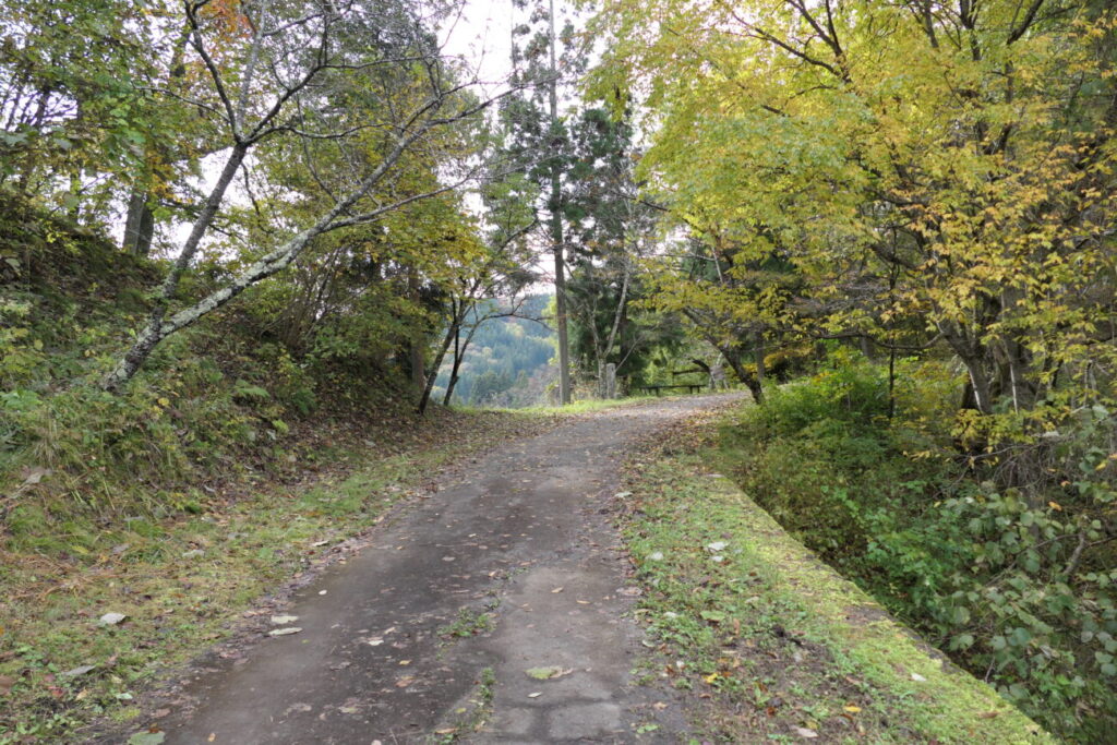 小川村 縄文おやき 小川の庄本店のおやき神社に行く道