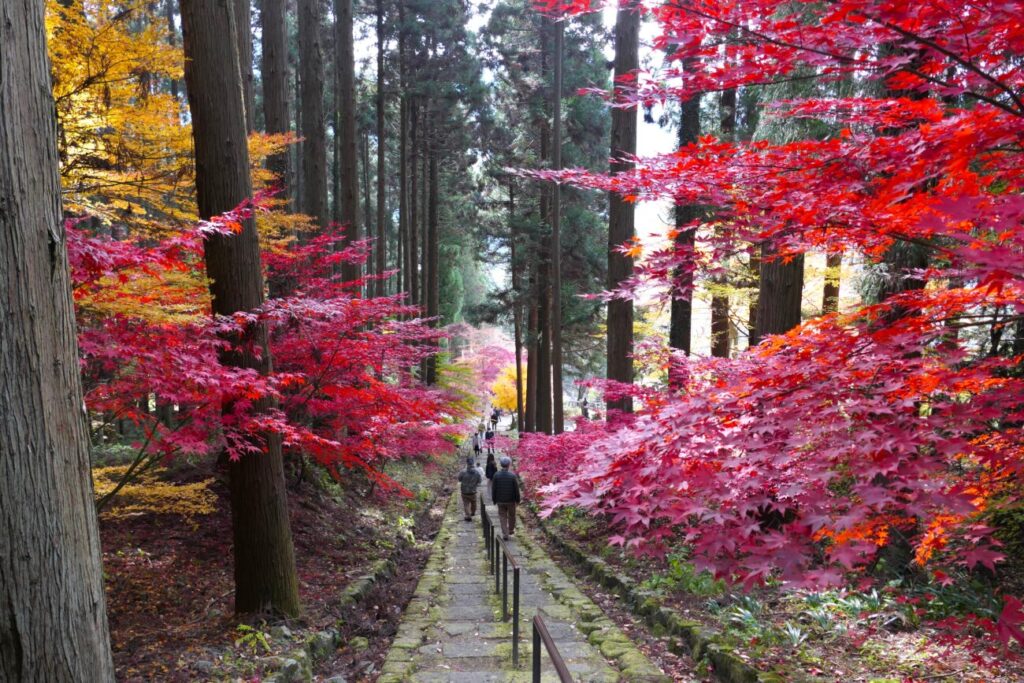 長野市 阿弥陀山 清水寺 紅葉