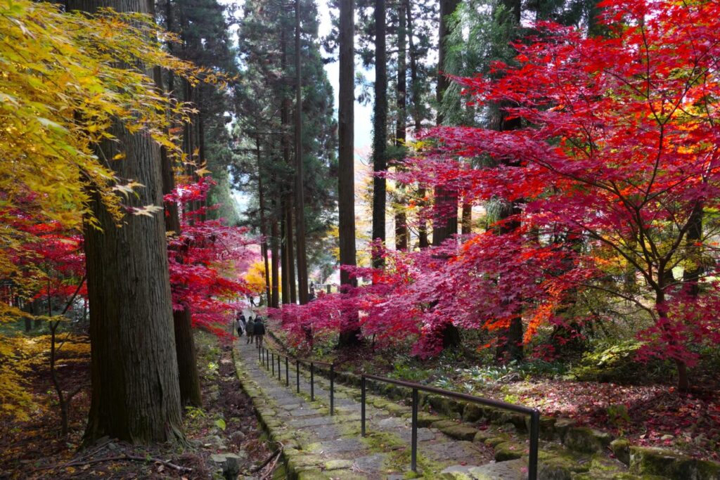長野市 阿弥陀山 清水寺 紅葉