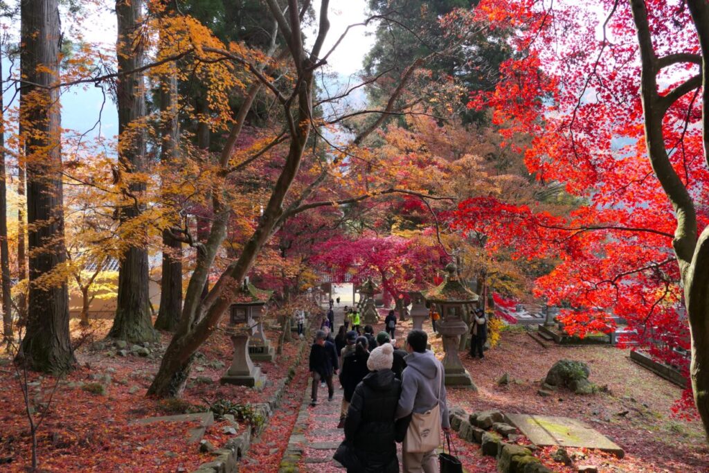 長野市 阿弥陀山 清水寺