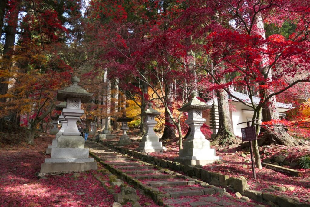 長野市 阿弥陀山 清水寺